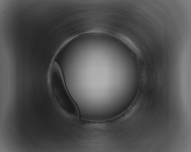 X0000101670900200807101357