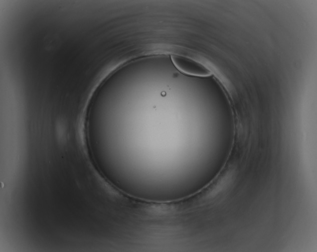 X0000101670901200807101357