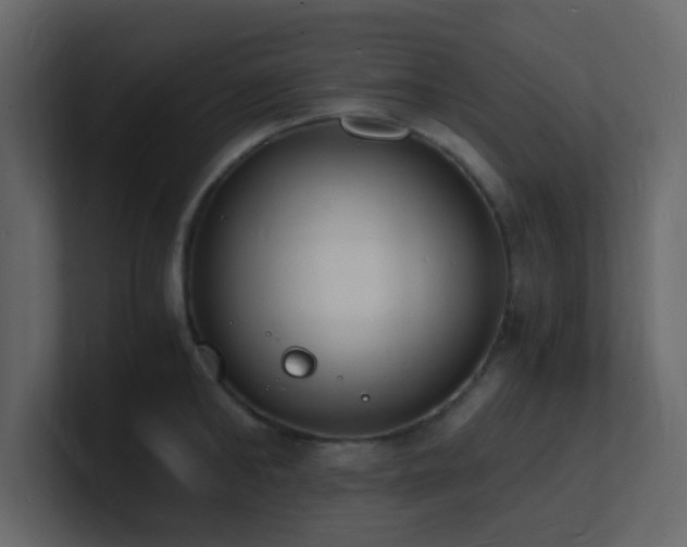 X0000101670902200807101357