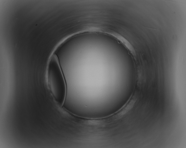 X0000101670904200807101357