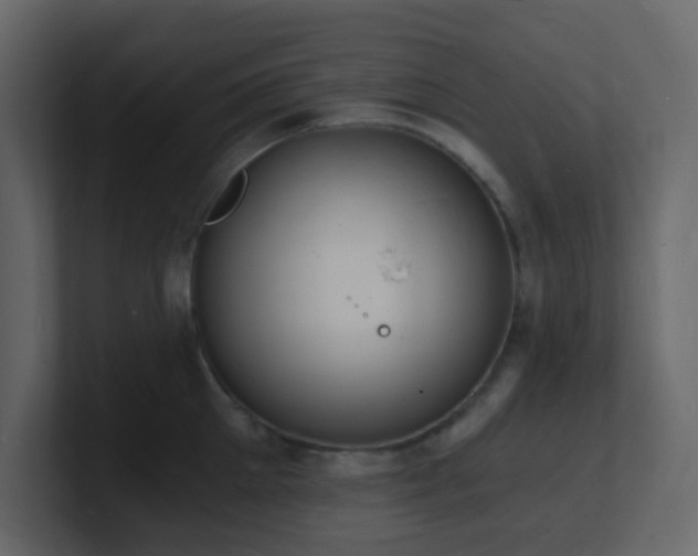 X0000101670905200807101357
