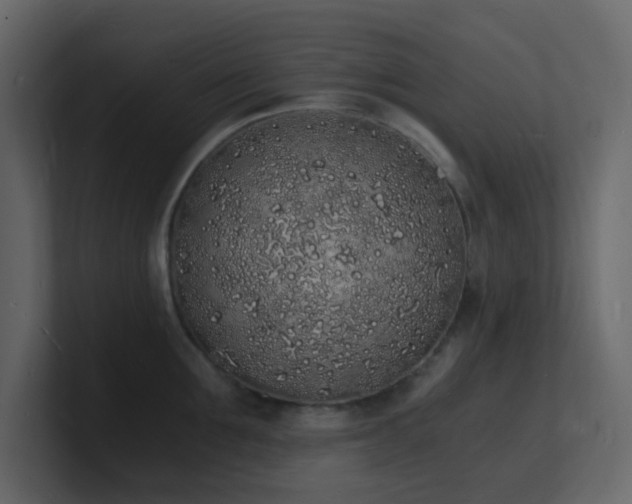X0000101670907200807101357