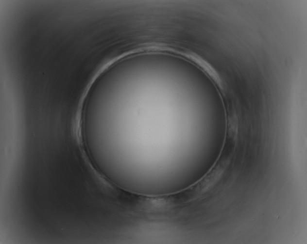 X0000101670911200807101357