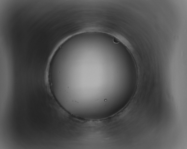 X0000101670912200807101357