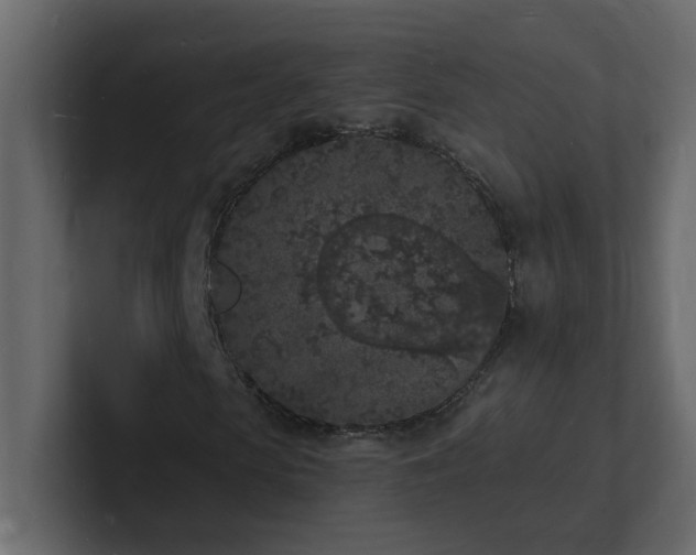 X0000101670913200807101357