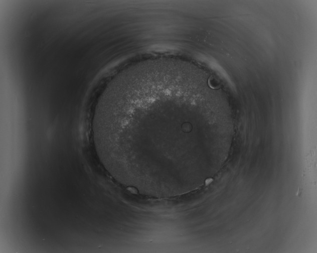 X0000101670920200807101357