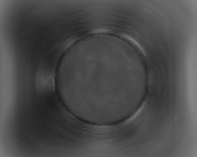 X0000101670921200807101357