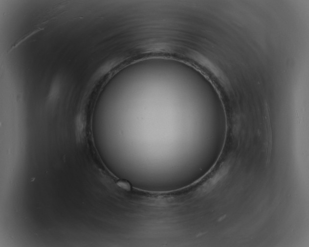 X0000101670922200807101357