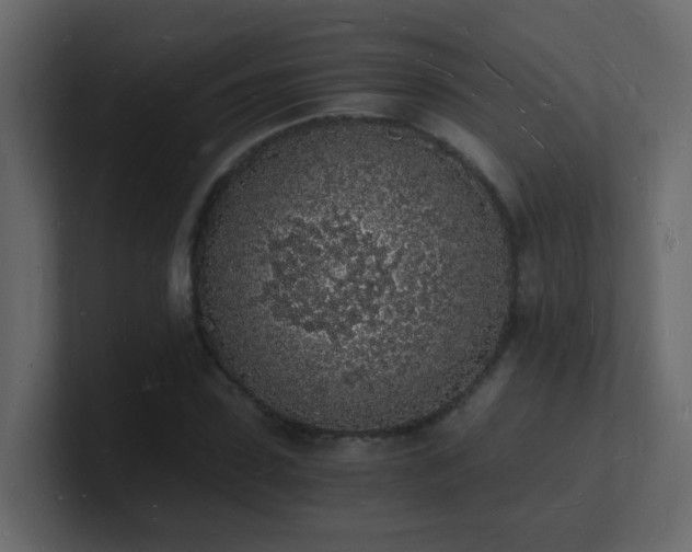 X0000101670923200807101357