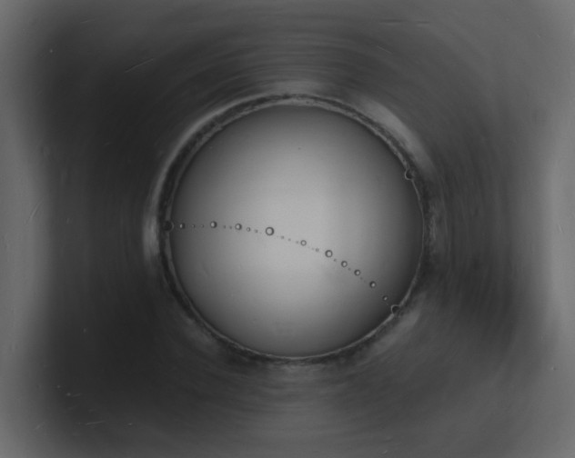 X0000101670924200807101357