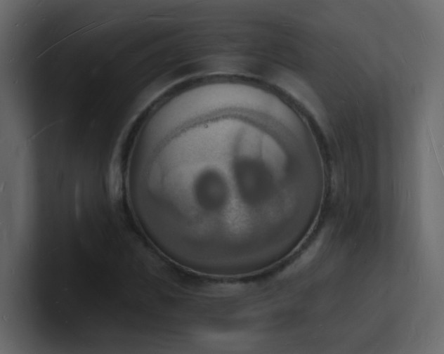 X0000101670925200807101357