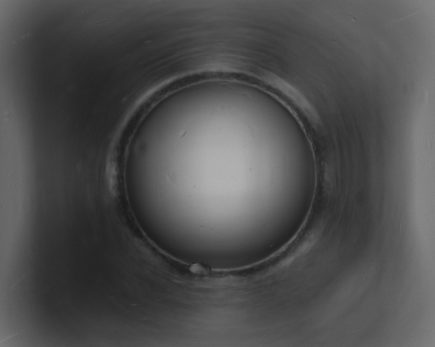 X0000101670926200807101357