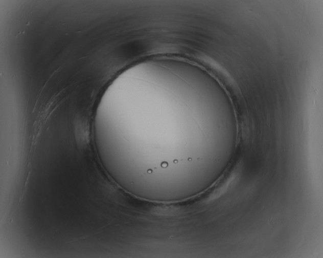 X0000101670929200807101357