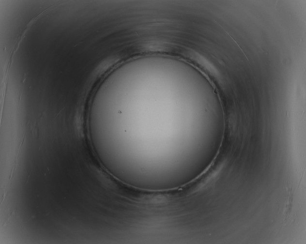 X0000101670930200807101357