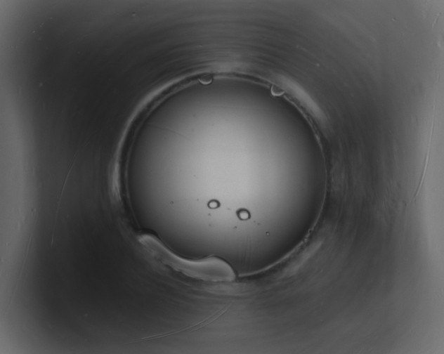 X0000101670932200807101357