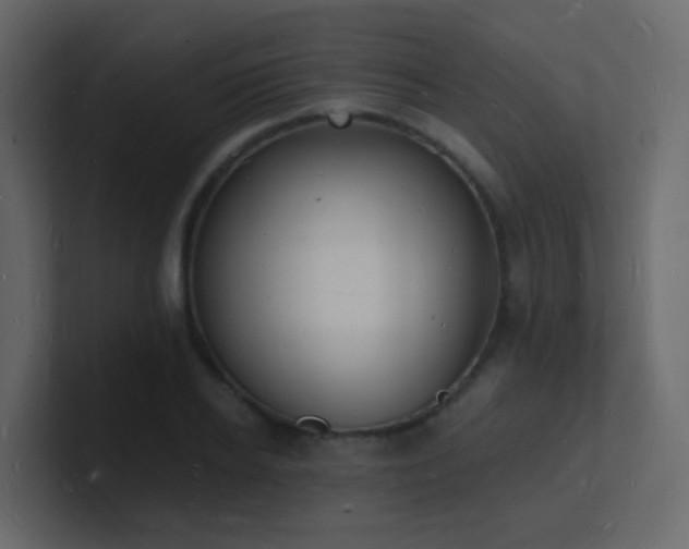 X0000101670934200807101357