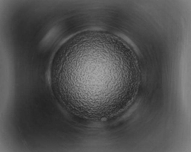 X0000101670935200807101357