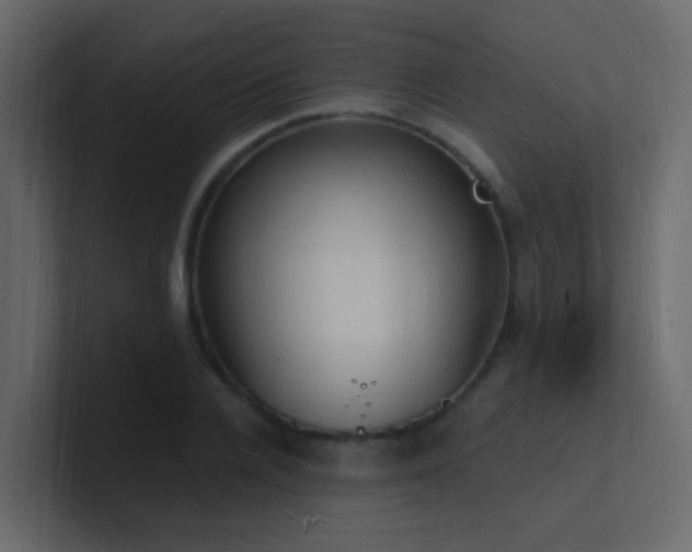 X0000101670936200807101357