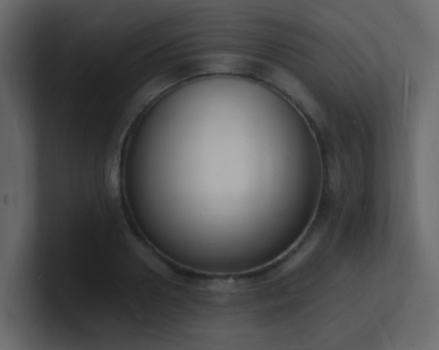 X0000101670938200807101357