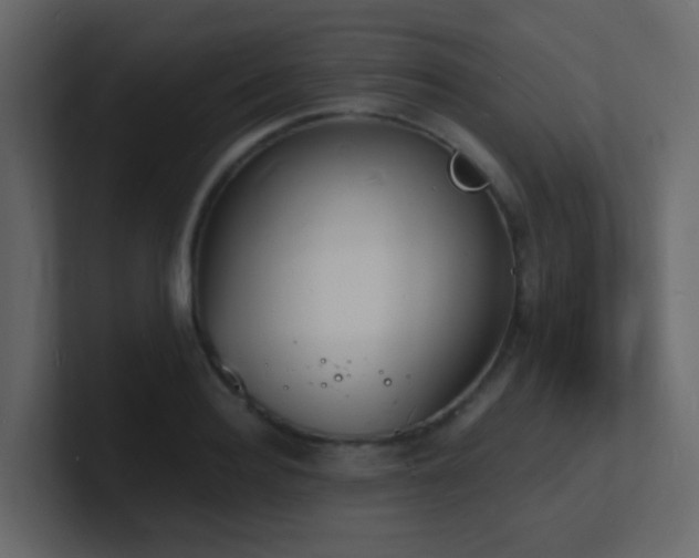 X0000101670940200807101357