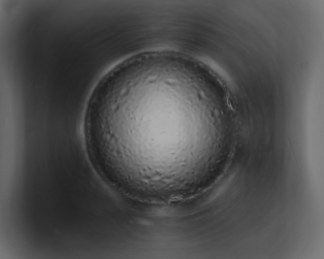 X0000101670943200807101357