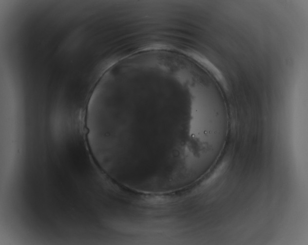 X0000101670945200807101357