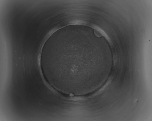 X0000101670946200807101357