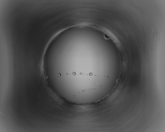 X0000101670948200807101357