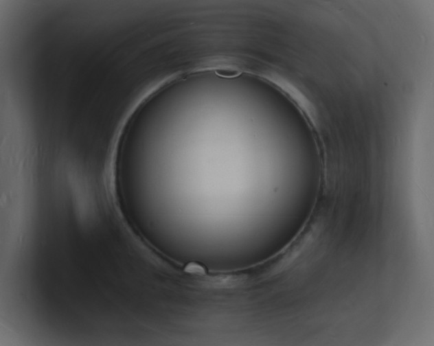 X0000101670949200807101357