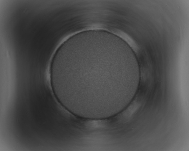 X0000101670950200807101357