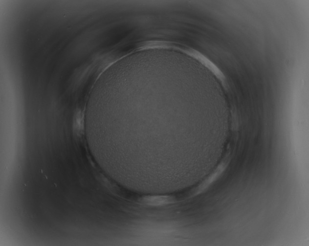 X0000101670953200807101357