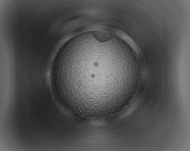 X0000101670954200807101357