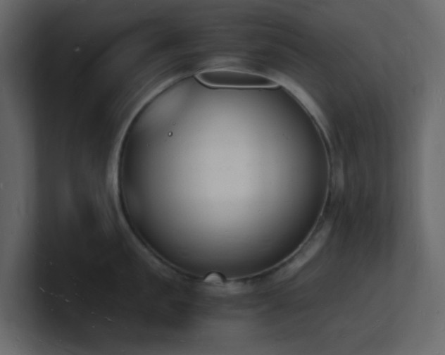 X0000101670957200807101357