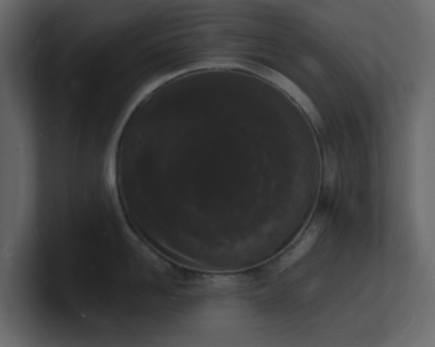 X0000101670958200807101357