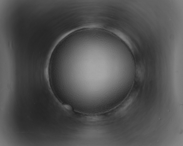X0000101670959200807101357