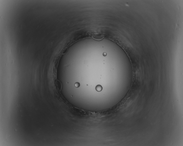 X0000101670961200807101356