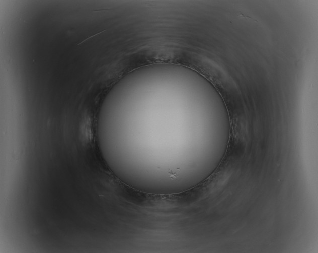 X0000101670962200807101356