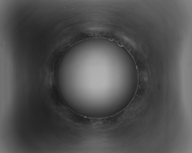 X0000101670965200807101356
