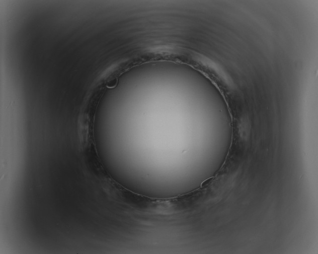 X0000101670968200807101356