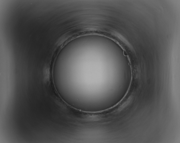 X0000101670969200807101356