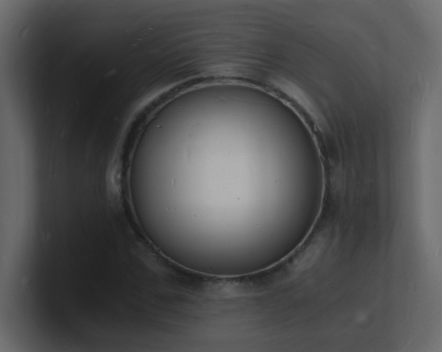 X0000101670971200807101356
