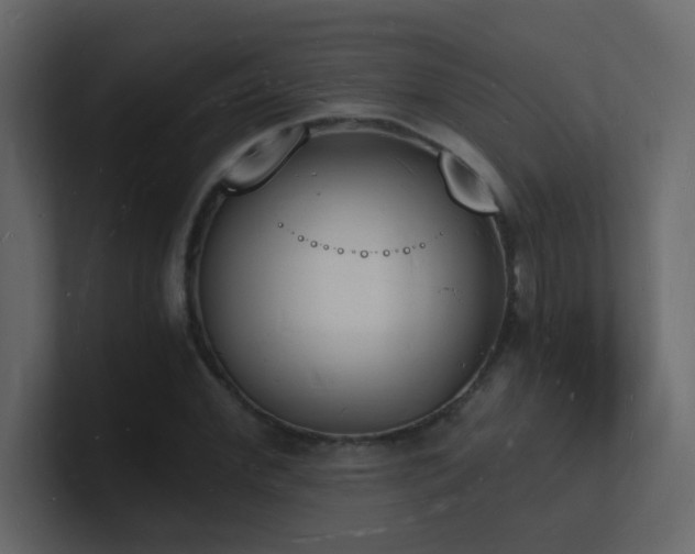 X0000101670972200807101356