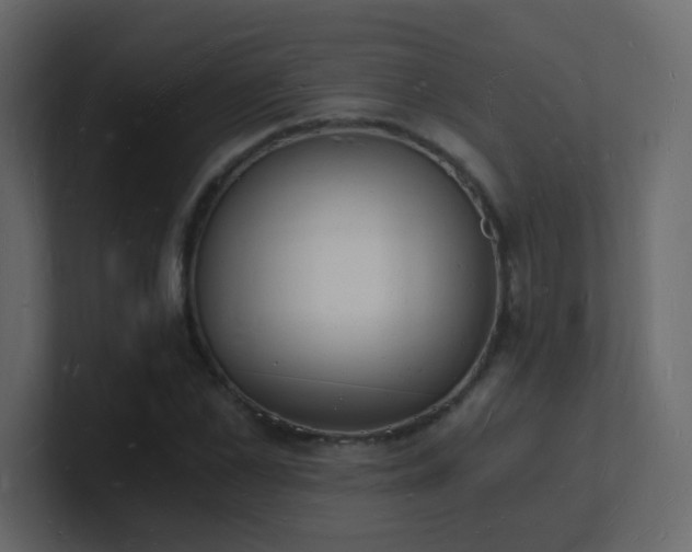 X0000101670973200807101356