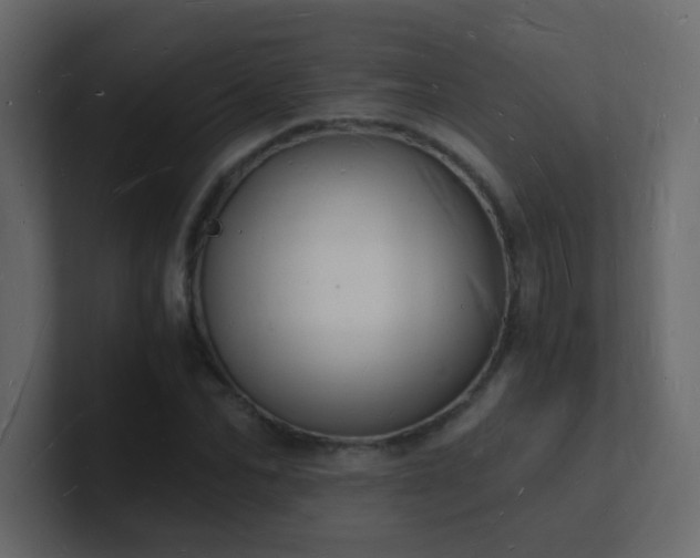 X0000101670974200807101356