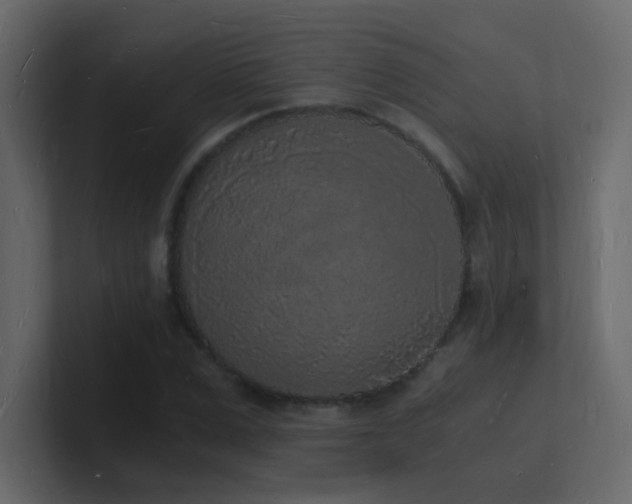 X0000101670975200807101356
