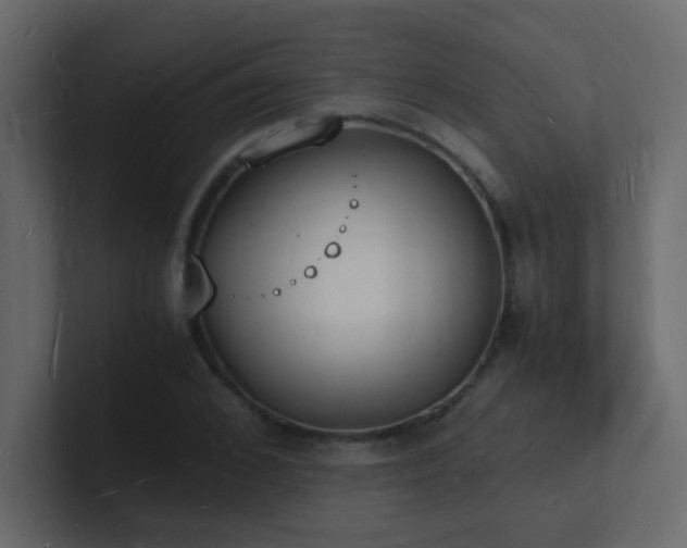 X0000101670976200807101356
