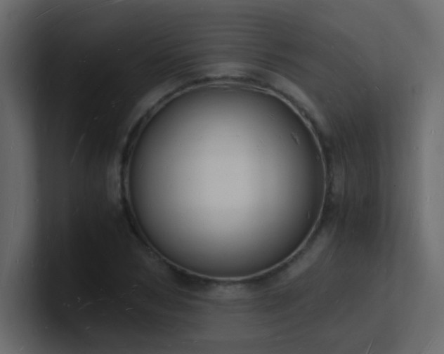 X0000101670978200807101356