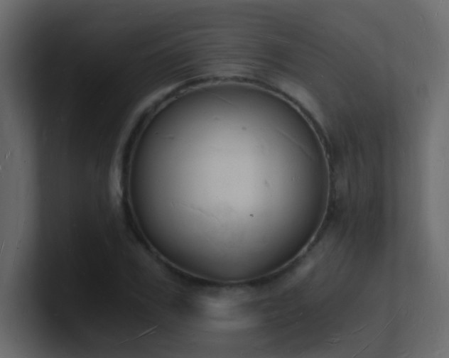 X0000101670979200807101356