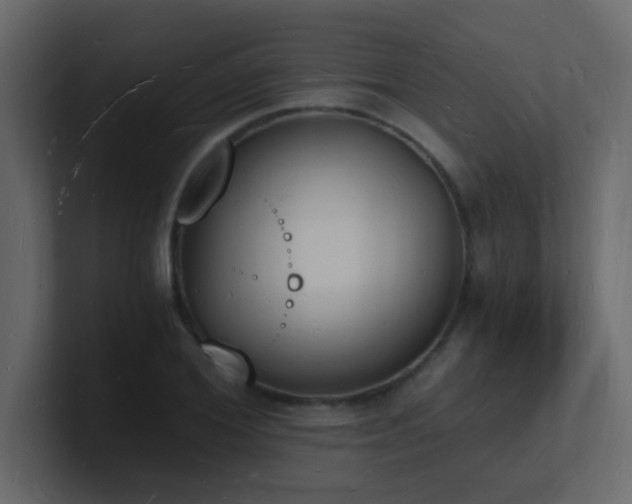 X0000101670980200807101356