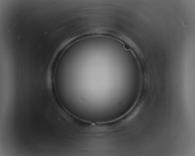 X0000101670981200807101356
